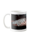 Sugar Glider - Petaurus breviceps Bookstore Promo mugs