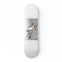 sugar glider skate boars skateboard deck