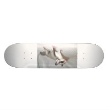 sugar glider skate boars skateboard deck