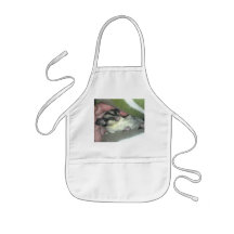 Sugar Glider Sleeping in Blanket Apron