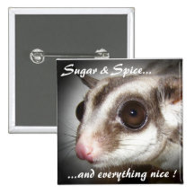 Sugar & Spice Sugar Glider Button