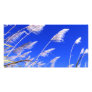 Sugarcane field photo card template