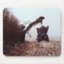 Sugarcane harvest mouse mats