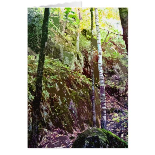 Sugarloaf Passage Greeting Card