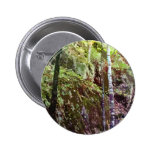 Sugarloaf Passage Pinback Button