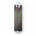 suit skateboards