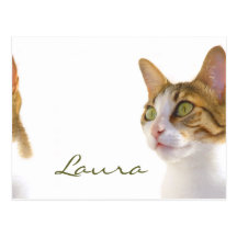 Suki Cat customise postcard