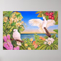 Sulfer-crested Cockatoos posters
