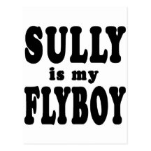 Sully is My Flyboy Post Card