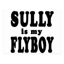 Sully is My Flyboy Postcard