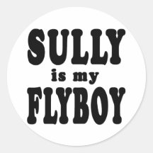 Sully is My Flyboy Sticker