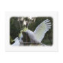 Sulphur Crested Cockatoo 9Y319D-079 Post Card