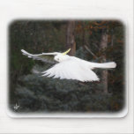 Sulphur Crested Cockatoo 9Y336D-027 mousepads