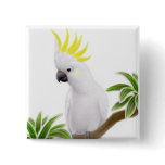 Sulphur Crested Cockatoo Pin buttons