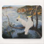Sulphur-Crested Cockatoos in The Blue Mountains' mousepads