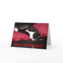 Sultry Cat Valentine cards