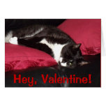 Sultry Cat Valentine Greeting Cards