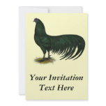 Sumatra:  Black Rooster Invite