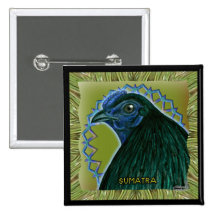 Sumatra Rooster Framed Pinback Button