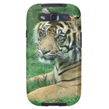 Sumatra Tiger Samsung Galaxy S3 Case