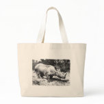 Sumatran rhinoceros - F.W. Kuhnert bags