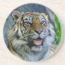 Sumatran Tiger Drink Coaster