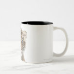 Sumatran Tiger cub - Panthera tigris sumatrae (3 Mugs