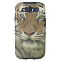 Sumatran Tiger Samsung Galaxy S3 Cases