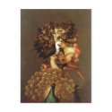 Summary Description Giuseppe Arcimboldo The Air .  postcards