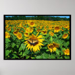Summer Afternoon posters