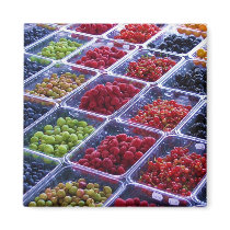 Summer Berries Magnet