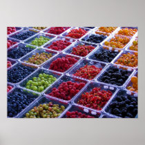 Summer Berries Poster
