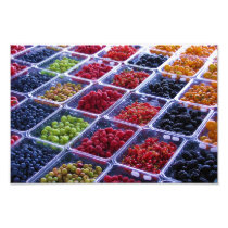 Summer Berries Print Photo Print