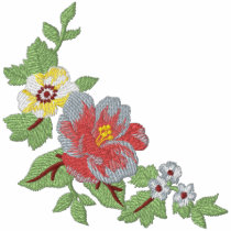 Summer Blooms