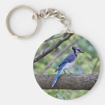 Summer Blue Jay Keychain
