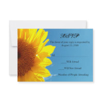 Summer Blue Sky with Yellow Sunflower