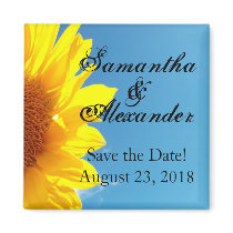 Summer Blue Sky with Yellow Sunflower