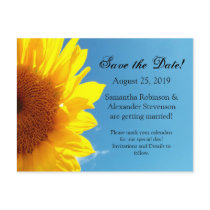 Summer Blue Sky with Yellow Sunflower