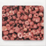 summer bounty mouse mat