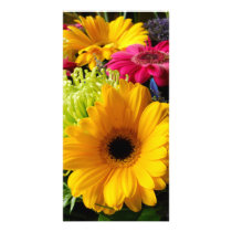 Summer Burst
