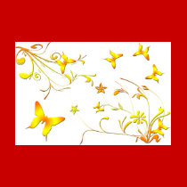 Summer Butterflies t-shirts