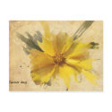 Summer day postcards