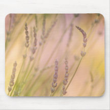 Summer Daydreams Mousepads