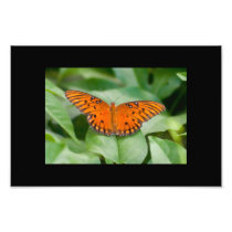 Summer Delight Wall Art Picture Photo Print
