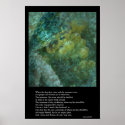 Summer Distilled posters