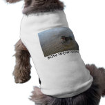 summer dog, BOW-WOW-WOW Doggie Shirt