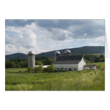 Summer evening cards