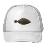 Summer Flounder Hats