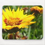 Summer Flower Mouse Mats