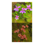 Summer Flowers Photocard Customized Photo Card